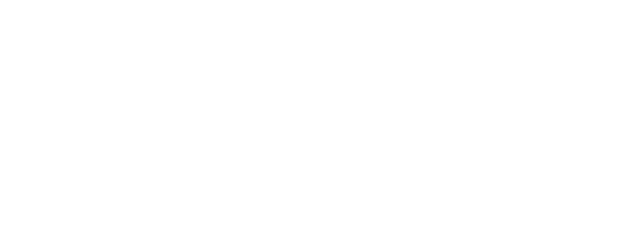 All-white Libertarian Party of Davidson County logo on a transparent background